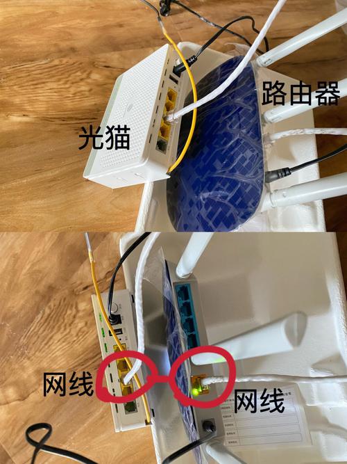 网线是接在猫上还是路由器上？