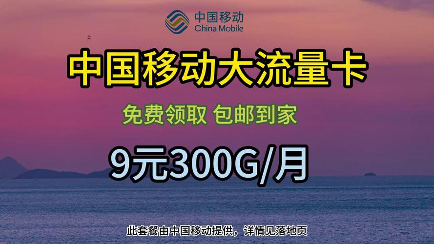 移动一天一g流量卡