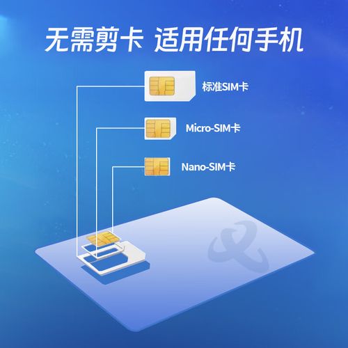 电信Big流量卡是电信公司推出的一种高速大流量的上网卡，用户可以通过办理这张流量卡来获得更快的网络速度和更大的流量额度。下面将详细介绍big流量卡的相关信息