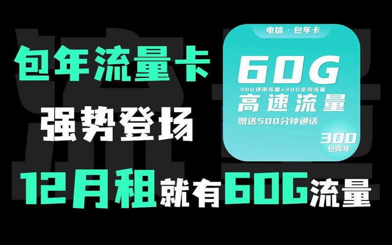 电信全流量卡是一种提供大量数据流量的SIM卡，适合高流量使用的用户。以下是一些电信全流量卡的详细信息