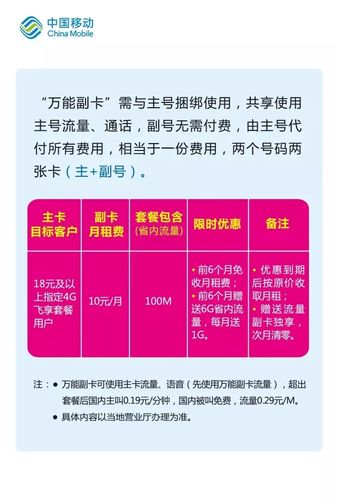 流量王副卡是中国联通推出的一种附加服务，允许用户在主卡的基础上增加额外的副卡，以共享主卡的流量、语音和短信资源。以下是对流量王副卡相关信息的具体介绍