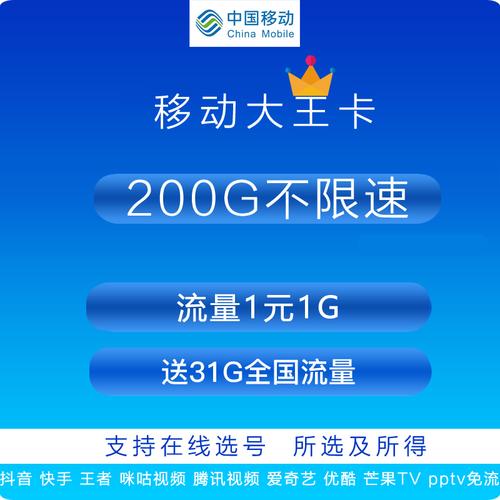 4G流量王卡闲时流量是中国移动推出的一项特色服务，旨在为用户提供更加灵活和经济的上网选择。以下是对4G流量王卡闲时流量的详细解答