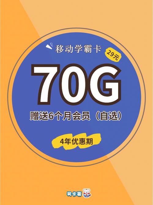 十元流量卡是近年来随着移动互联网普及而出现的一种经济实惠的手机卡套餐。以下是对十元流量卡的详细介绍