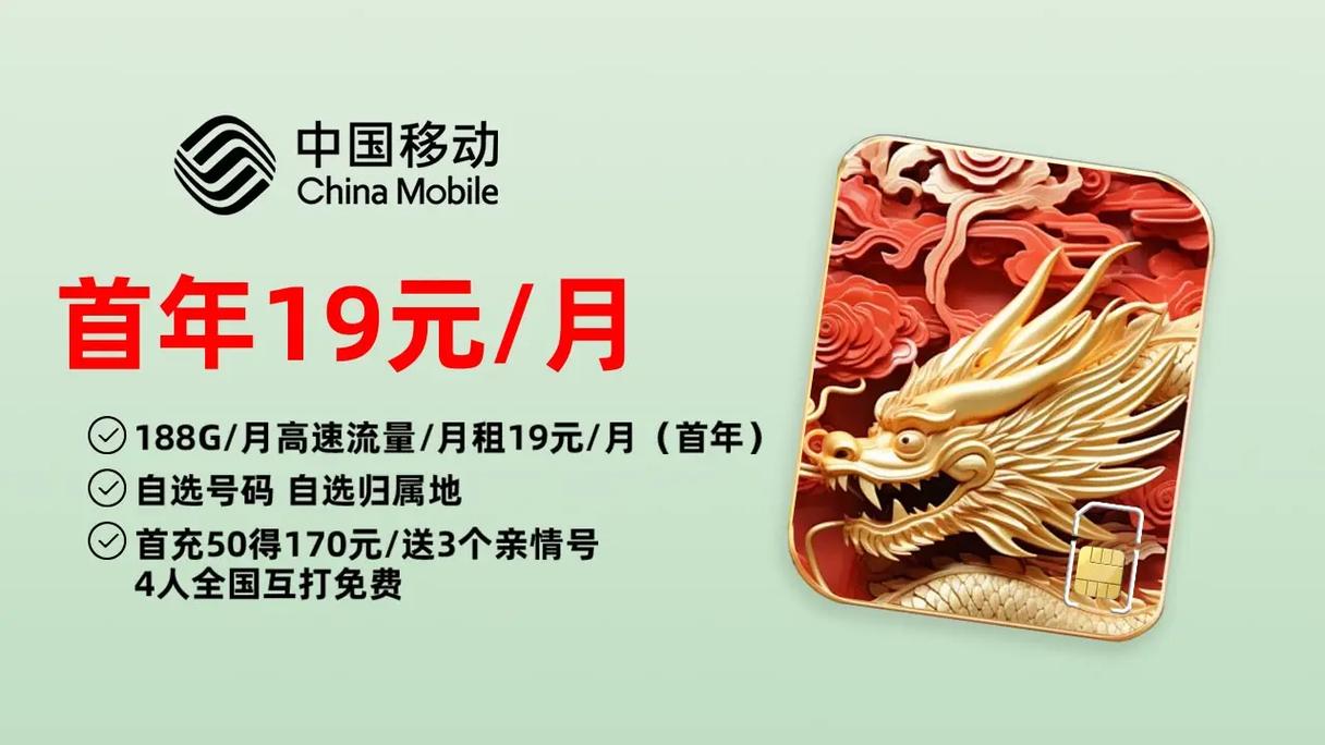 移动流量王卡48元套餐是中国移动推出的一种高性价比的流量套餐，适合流量需求较大、价格敏感的用户。以下是对该套餐的详细介绍