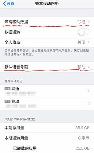 iPhone 大王卡免流量使用指南