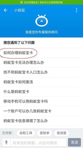 要查询蚂蚁宝卡的流量使用情况，有多种方法可供选择。以下是详细的步骤说明