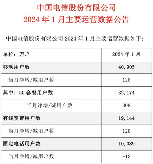 2024年运营商发展计划