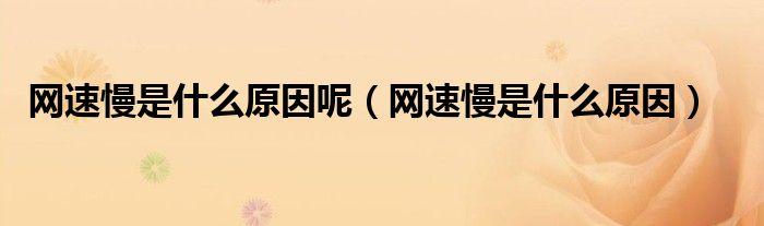 流量变得特别慢和新手机网速很慢的问题，可能由多种因素导致。以下是对这些问题的详细分析