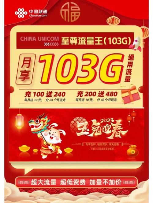 超级2024年流量王3500g(4G全国流量王)