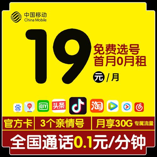 中国移动王卡是中国移动推出的一款基础套餐电话卡，具有多种资费选项和丰富的流量与通话服务。以下是对中国移动王卡的详细介绍