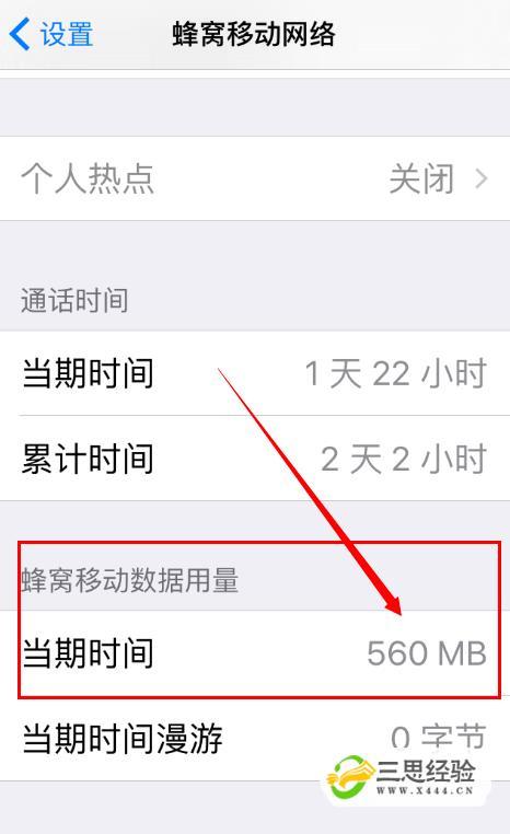 iPhone 11流量设置