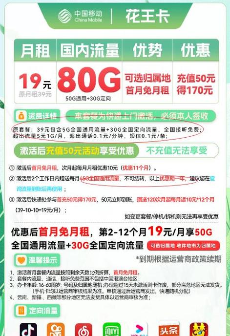 关于1元100g流量卡和移动流量卡19元套餐，由于这类套餐可能因地区、运营商政策、促销活动等多种因素而有所不同，因此目前无法给出详细的统一信息。不过，可以根据一般情况和搜索结果提供一些概括性的信息和分析框架，帮助您更好地理解这两类套餐。以下是详细内容